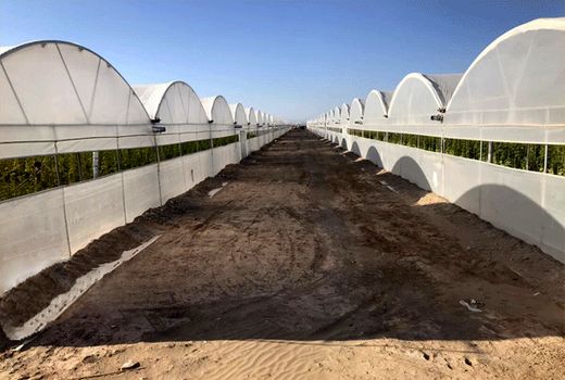 ضرورت رفع موانع قانونی برای توسعه گسترده شهرک‌‌های کشاورزی