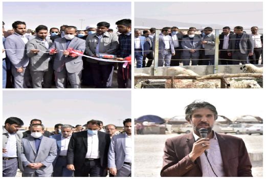 افتتاح بازار عرضه دام طرح هاب منطقه ای شتر