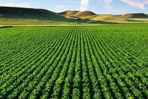 حفظ و صیانت از اراضی کشاورزی در راستای تأمین امنیت غذایی جامعه