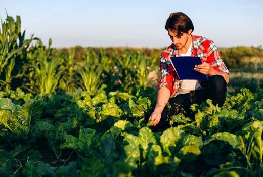 ثبت نام 4 هزار فارغ‌التحصیل دانشگاهی در حوزه کشاورزی در سامانه نظام مهندسی کشاورزی