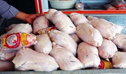 توزیع مرغ منجمد در استان قزوین آغاز شد  