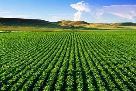 صدرنشینی جهاد کشاورزی کهگیلویه و بویراحمد در آمارگیری هزینه تولید محصولات زراعی کشور + سند