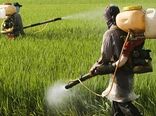 سطح مبارزه بیولوژیک ۱۹ درصد رشد کرد/ دیپلماسی غذایی و امنیت صادرات ایران