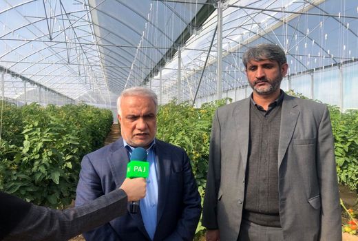 واحدهای تولیدی بخش کشاورزی اشتغالزایی خوبی برای روستاییان ایجاد کرده است