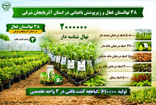تولید ۶۱۰ هزار گیاهچه کشت بافتی در ۳ واحد تخصصی؛ گام فناورانه باغبانی استان آذربایجان شرقی