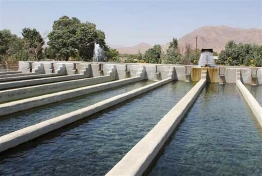 رشد چشمگیر تولید ماهی در استان قزوین