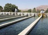 رشد چشمگیر تولید ماهی در استان قزوین