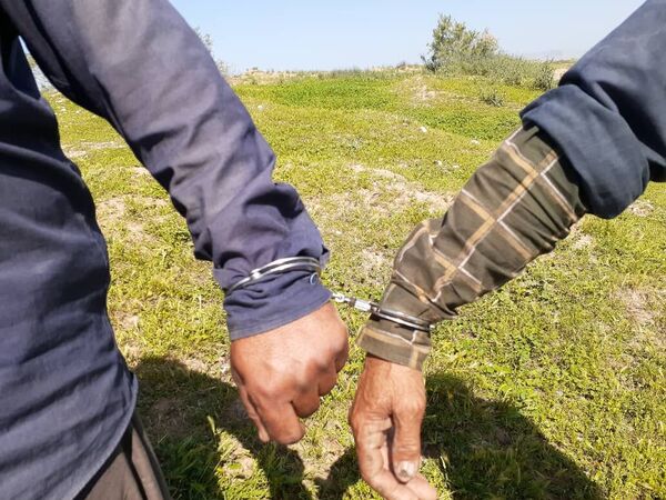 کشف یک تن گیاه مرتعی غیرمجاز در شهرستان لردگان