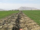 بیست طرح آب و خاک شهرستان ارزوئیه در هفته جهاد کشاورزی به بهره برداری می رسد