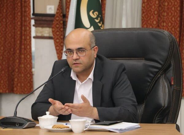 پیش‌بینی تولید ۳۰۰ هزار تُن گندم در قزوین