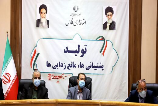 تقویت کشت گلخانه ای ضرورت امروز کشور است
