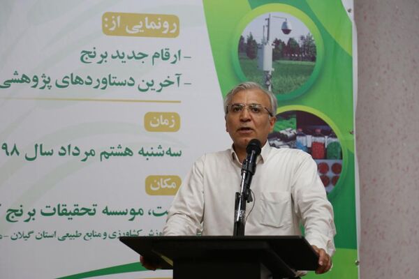 ارتقای تولید و پایداری برنج با زنجیره تولید امکان پذیر است
