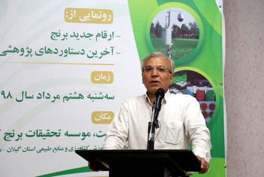 ارتقای تولید و پایداری برنج با زنجیره تولید امکان پذیر است