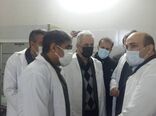 روزانه بالغ بر 50 تن گوشت مرغ در سنندج توزیع می شود