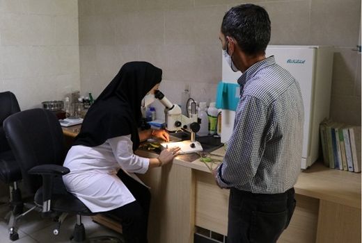 اجرای طرح نسخه نویسی گیاه پزشکی در کلینیک ها و فروشگاه های سم فروشی استان فارس