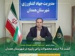 کشت ۹۵ درصد محصولات زراعی پاییزه در شهرستان همدان