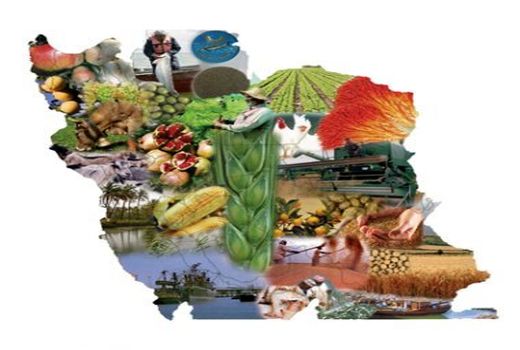 مهمترین دستاوردهای طرح های شاخص بخش کشاورزی اعلام شد