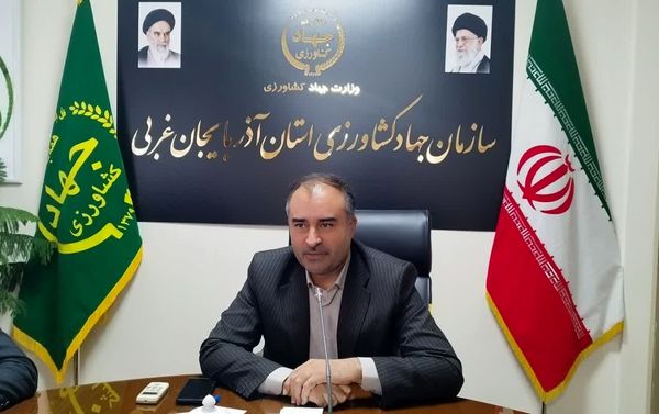 افزایش ۵۱ درصدی جوجهریزی واحدهای مرغداری در آذربایجانغربی