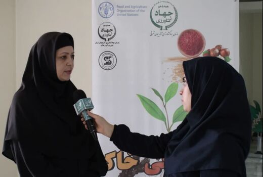 مصرف بی رویه سموم با افزایش میزان کلوئیدهای خاک ، بر عملکرد محصول تاثیر منفی می گذارد