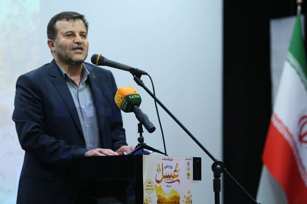 سرمایه ۳۰ میلیارد تومانی صندوق زنبورداری پاسخگوی نیاز صنعت نیست/ برنامه افزایش منابع مالی دنبال می‌شود