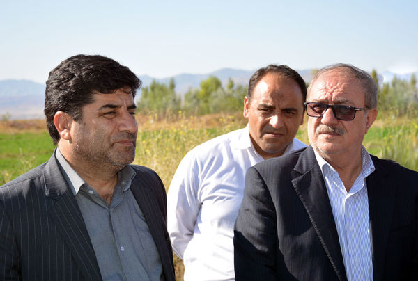 تجلیل معاون آب وخاک وزیرجهاد کشاورزی از رئیس سازمان جهاد کشاورزی استان آذربایجان شرقی
