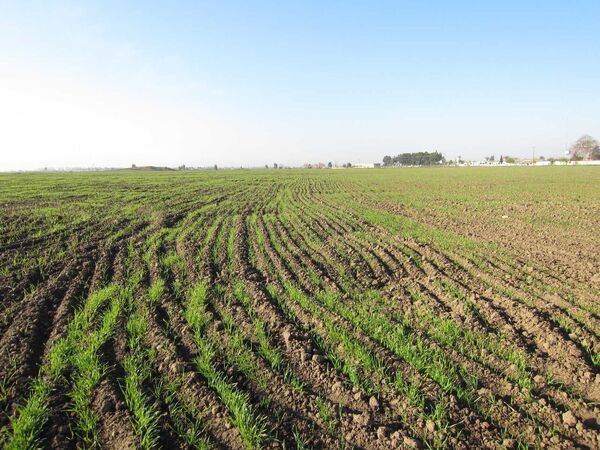 قرارداد رفع تداخل اراضی در ۷۵۰ روستای کردستان منعقد شد
