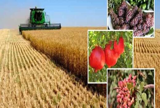 ۱۰۰ برنامه موبایلی برای کشاورزان امروز رونمایی شد