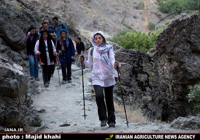 کوه پیمایی