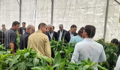 یک واحد گلخانه سبزی و صیفی در شهرستان بختگان افتتاح شد