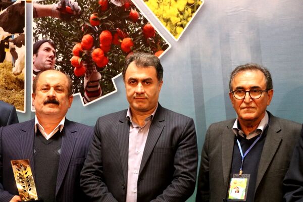 رونق تولید با همت پیشگامان عرصه کشاورزی گیلان