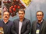 رونق تولید با همت پیشگامان عرصه کشاورزی گیلان