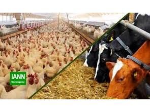 590 میلیارد تسهیلات سرمایه در گردش در بهشهر پرداخت شد