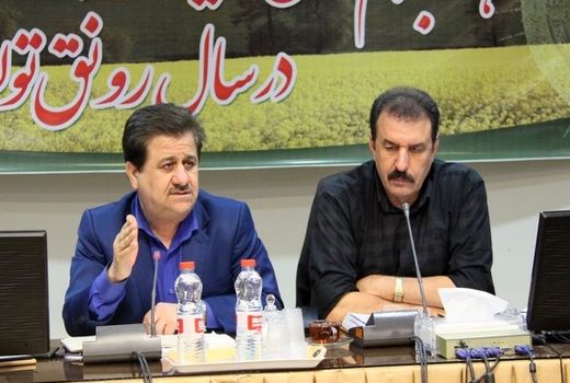 کلزا، دارای بیشترین افزایش قیمت خرید تضمینی در استان خوزستان