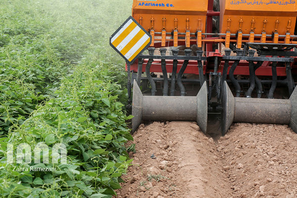 کاهش 4 میلیون تومانی هزینه‌های کشت در هر هکتار