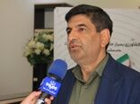 طرح جهش تولید در دیم‌زارها/ راهکاری برای افزایش بهره‌وری و بهبود معیشت کشاورزان