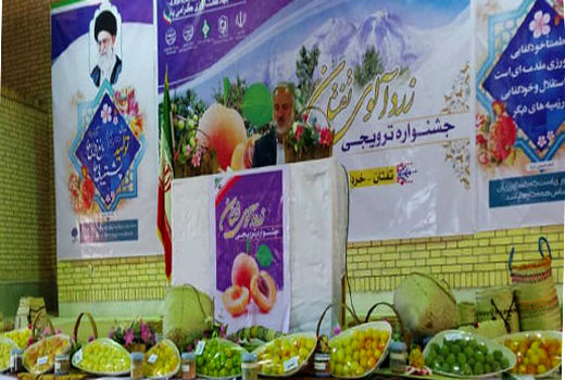 نقش مهم بخش کشاورزی در امنیت غذایی واشتغال پایدار در سیستان وبلوچستان