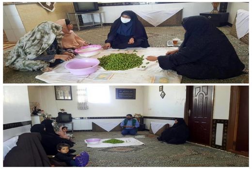 برگزاری کارگاه آموزشی فرآوری زیتون