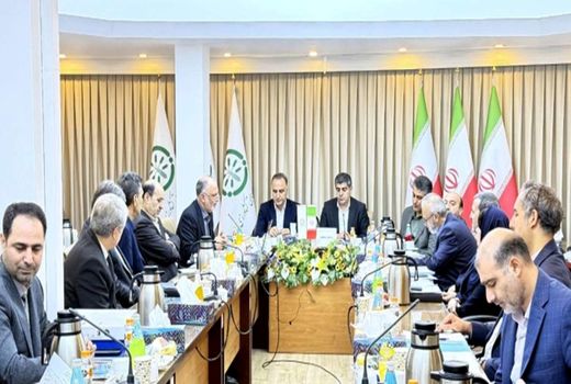 تامین  96 درصد از نهاده‌های کشاورزی در سال 1403 توسط شرکت خدمات حمایتی کشاورزی
