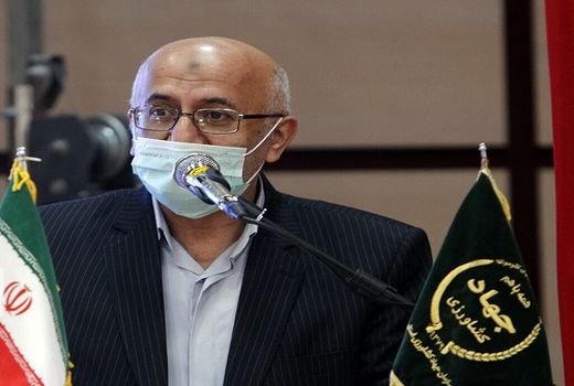 سرمایه گذاری در کشاورزی فارس جواب می دهد
