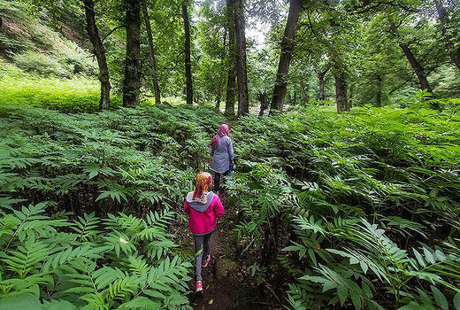 جنگل‌گردی، ظرفیت شاخص گردشگری طبیعی خلخال