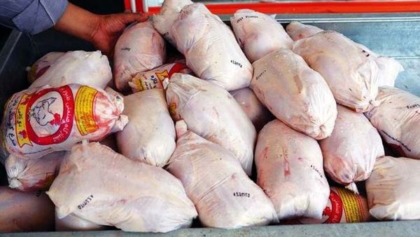 با عرضه کنندگان مرغ خارج از شبکه برخورد خواهد شد