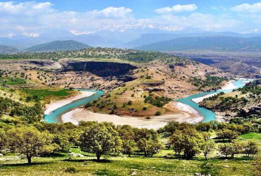 ریه‌های تنفسی زاگرس در خطر است 