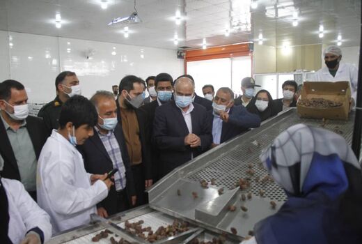 تکمیل طرح تحول نخلستان مهمترین خواسته نخلداران دشتستان 