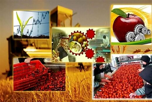 صنایع تبدیلی کشاورزی محور اصلی افزایش ارزش افزوده، کاهش خام‌فروشی و تضمین امنیت غذایی 