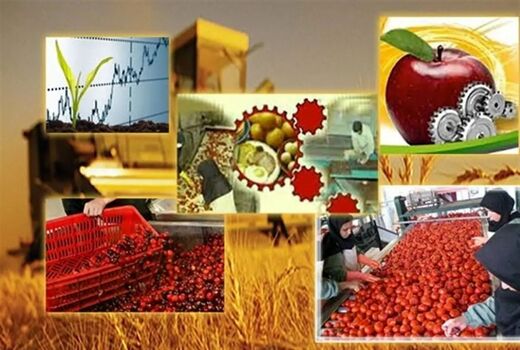 صنایع تبدیلی کشاورزی محور اصلی افزایش ارزش افزوده، کاهش خام‌فروشی و تضمین امنیت غذایی 