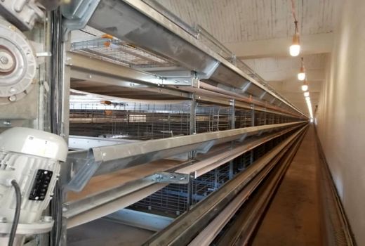 افتتاح واحد پرورش مرغ تخم گذار ۱۵۰ هزار قطعه ای در شهرستان ابرکوه