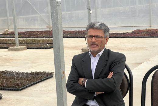 30 هکتار باغ مادر در هفت استان کشور فعالیت دارند