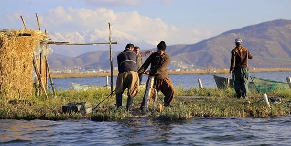 رهاسازی بچه ماهی تثبیت کننده آب زریوار