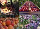 تولید محصولات باغبانی کشور به ۲۶ میلیون تن رسید