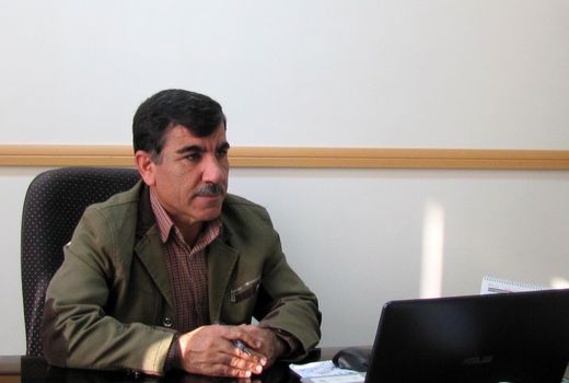 خرید توافقی بیش از 2 هزار و 100 تن جو توسط شبکه تعاون روستایی استان قزوین